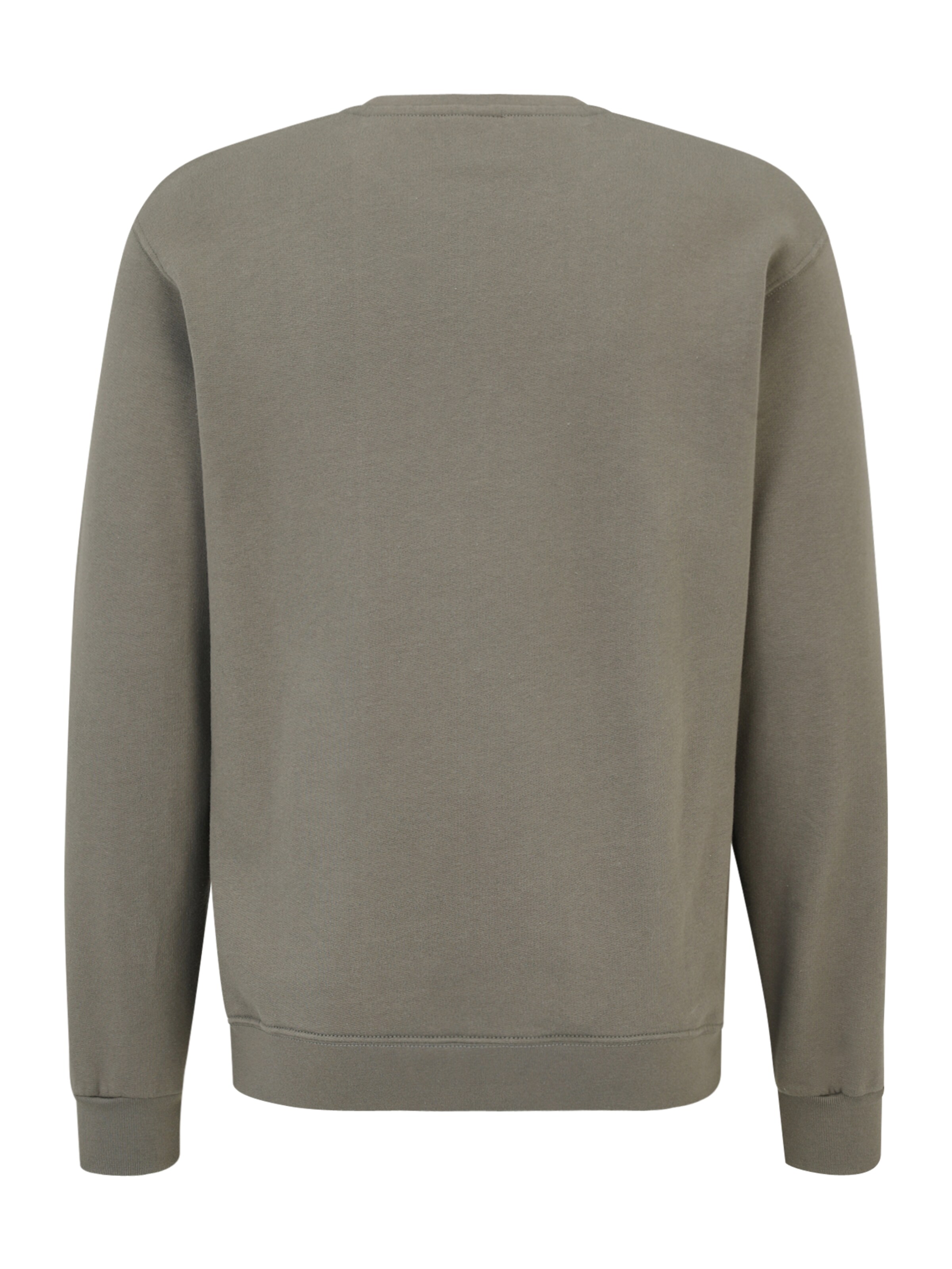 Iriedaily Средняя посадка Свитшот 'Mini Flag 2' в Зеленый