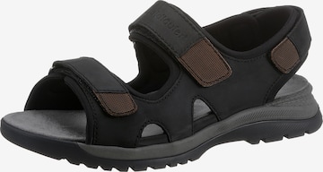 WALDLÄUFER Sandals in Black: front