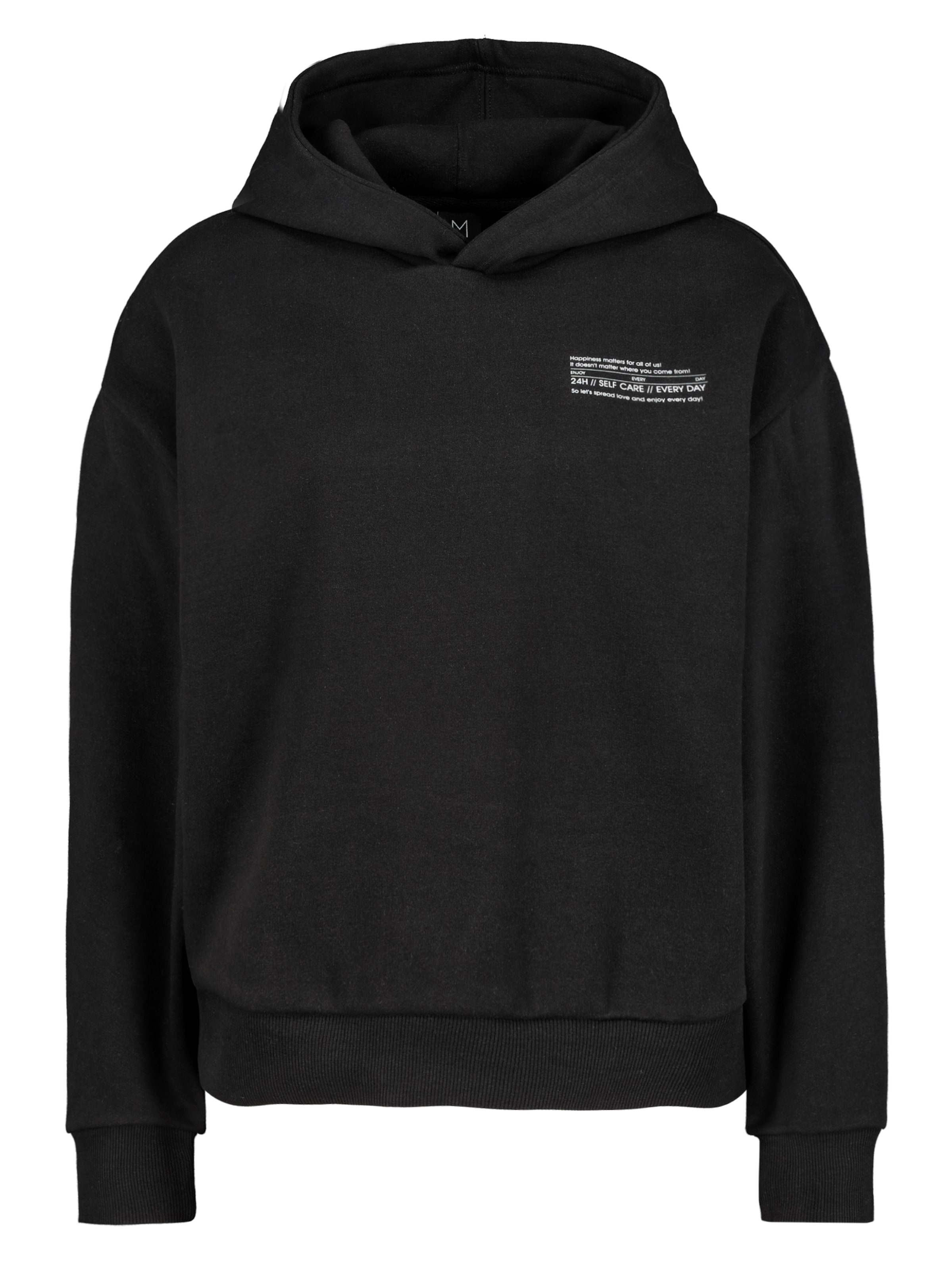 Sublevel Sweatshirt in Black: front