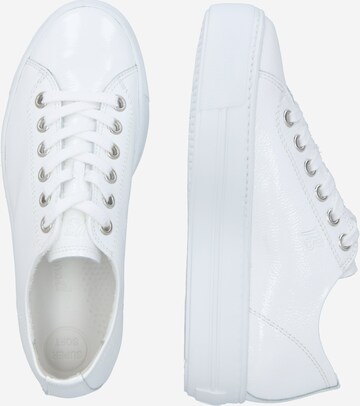 Paul Green Sneakers in White