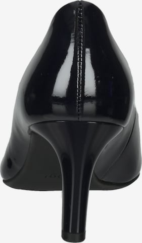 Högl Pumps 'Studio 60' in Black