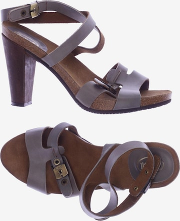 SCHOLL Sandals & High-Heeled Sandals in 40 in Grey: front