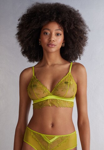 INTIMISSIMI Triangle Bra 'SWEET LIKE SUGAR' in Green: front