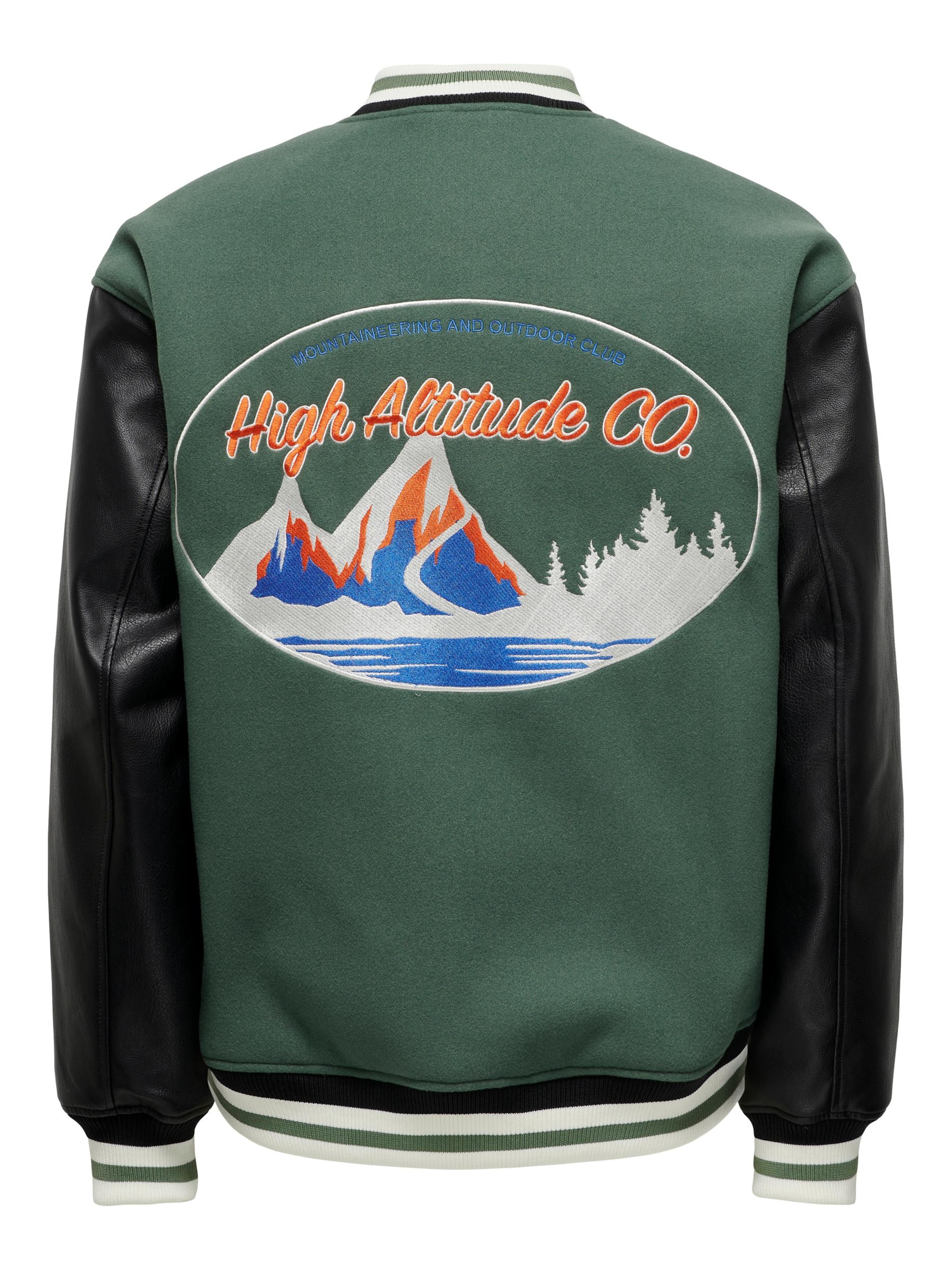 Only & Sons Jacke 'BARRY' in Grün