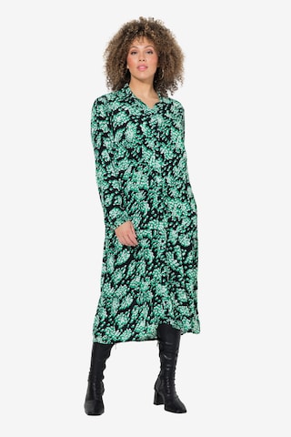 Ulla Popken Puseromekko värissä vihreä: etupuoli