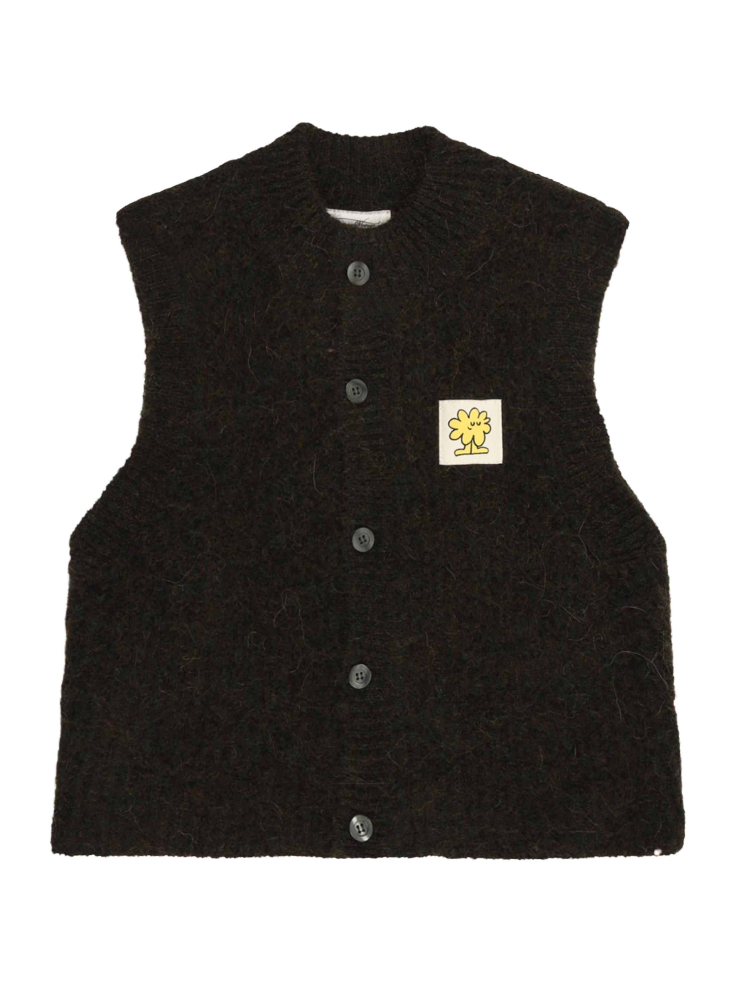 AMERICAN VINTAGE Gebreid vest 'EAST' in Bruin: voorkant