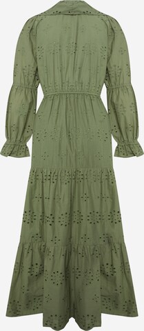 Dorothy Perkins Petite Kleid in Grün