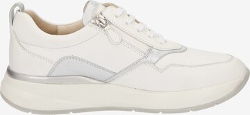 SIOUX Sneaker 'Segolia-705-J' in Weiß