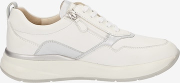 SIOUX Sneaker 'Segolia-705-J' in Weiß