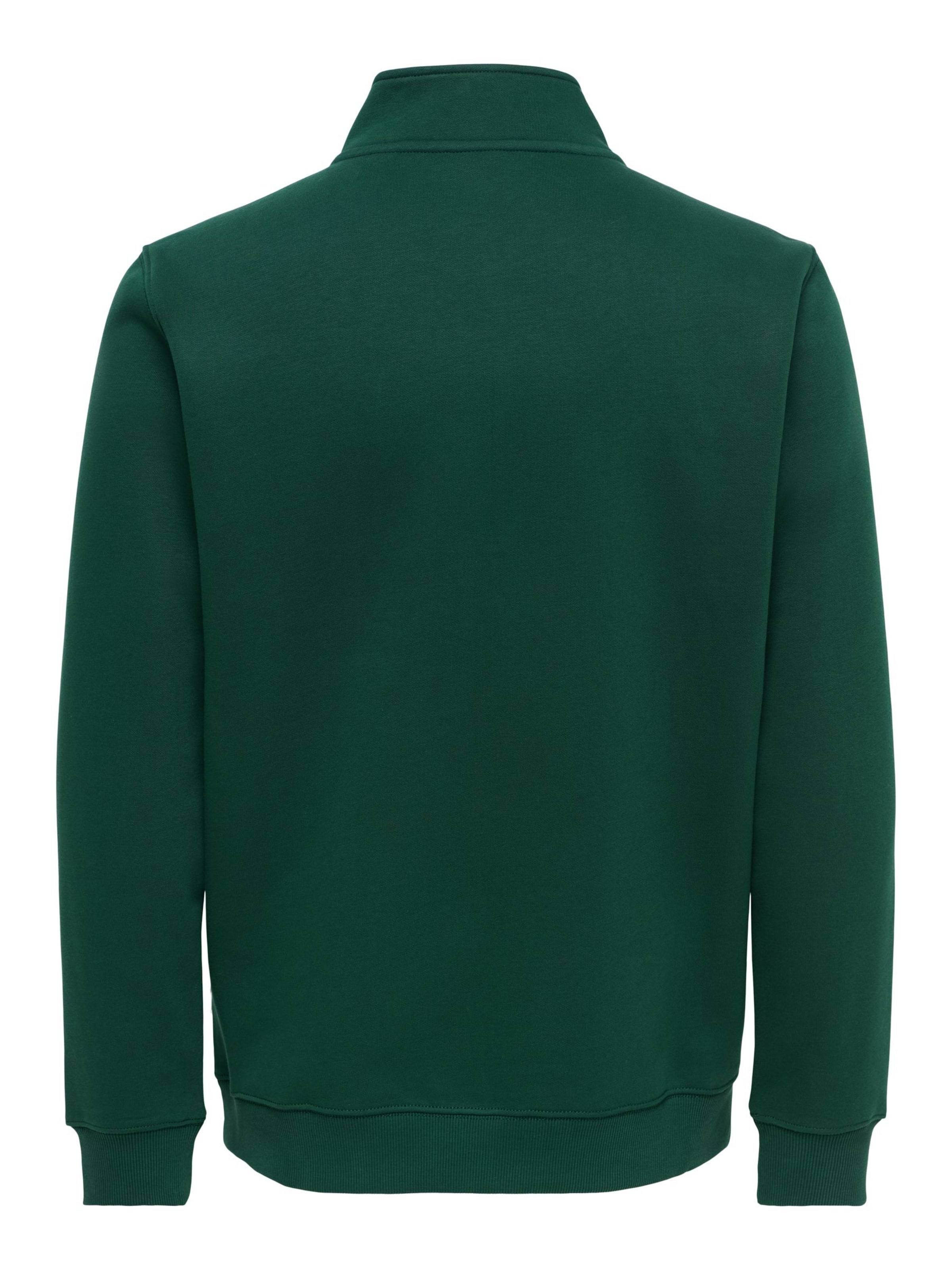 Only & Sons Sweatshirt 'ONSConnor' in Grün