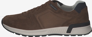 Pius Gabor Sneakers 'Pius' in Brown