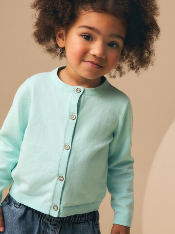 Next Strickjacke in Grün