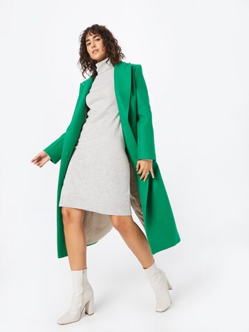 Pure Cashmere NYC Kleid in Grau