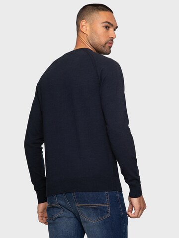 Threadbare Sweater 'Maned' in Blue