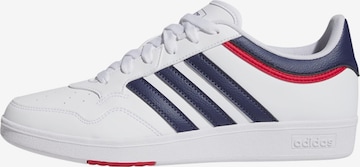 ADIDAS SPORTSWEAR Sneaker 'Hoops 4.0' in Weiß: Vorderseite