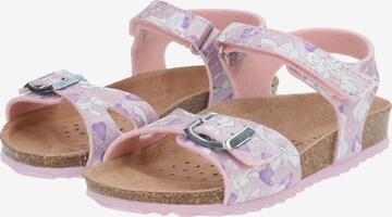 GEOX Sandalen in Roze