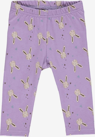 Fred's World by GREEN COTTON Leggings in Purple: front