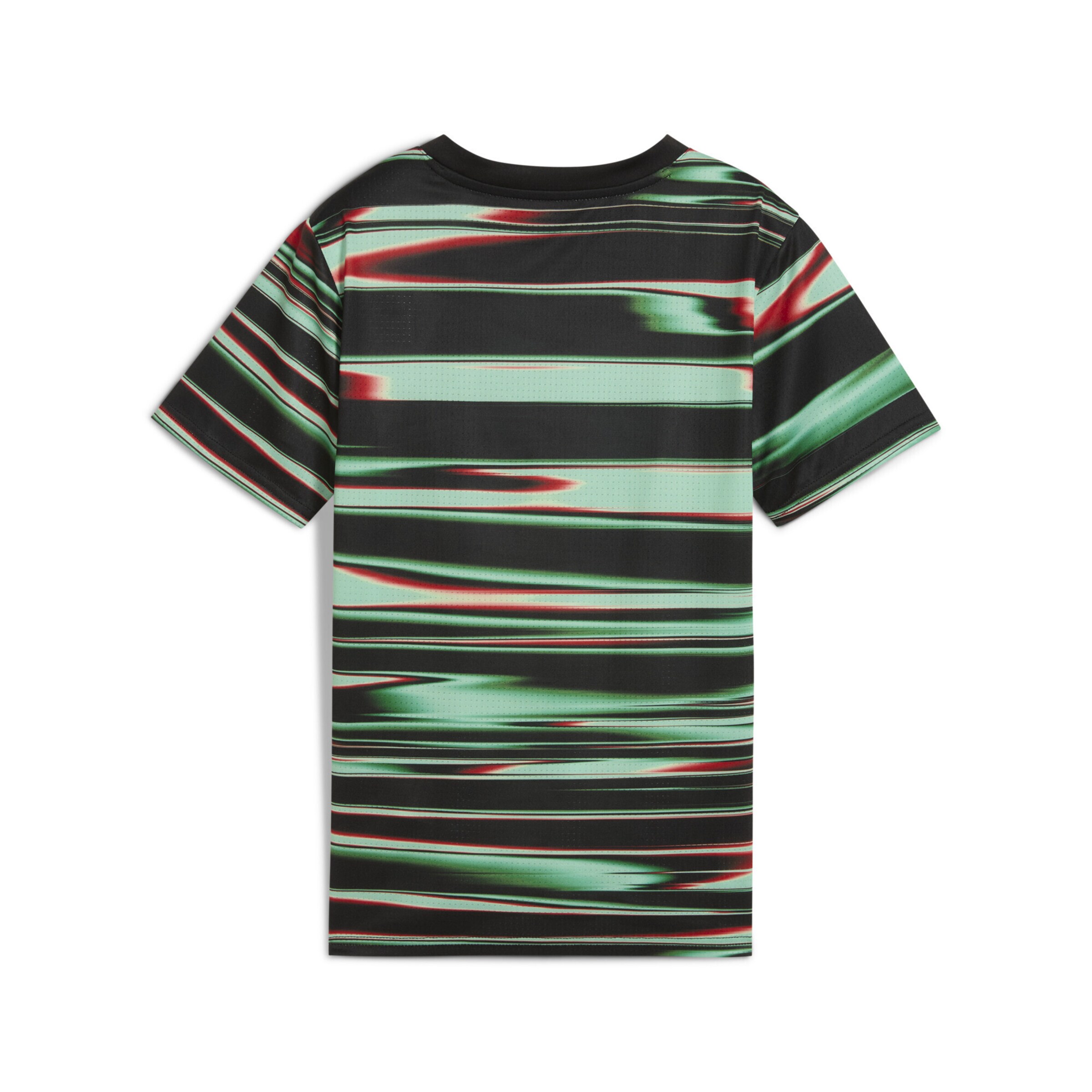 PUMA Funktionsshirt 'Portugal' in Schwarz