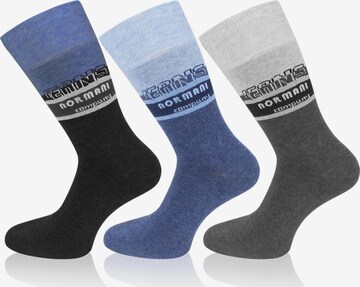 normani Socks 'Company' in Mixed colors: front