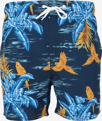 Cruz Board Shorts in Blue: front