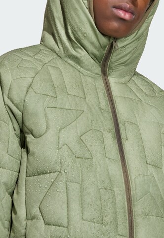 ADIDAS TERREX Outdoor jacket 'Xperior' in Green