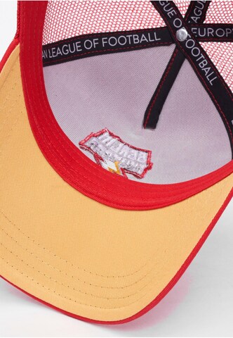 DEF Pet ' Berlin Thunder' in Rood