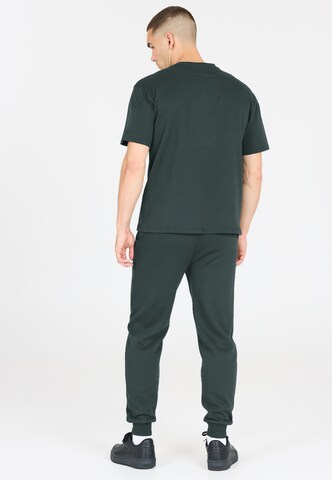 Virtus Functioneel shirt 'Harwick' in Groen