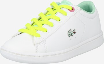 LACOSTE Sneakers in White: front