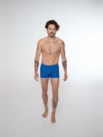 PROTEST Bathing trunks 'CARST' in Blue