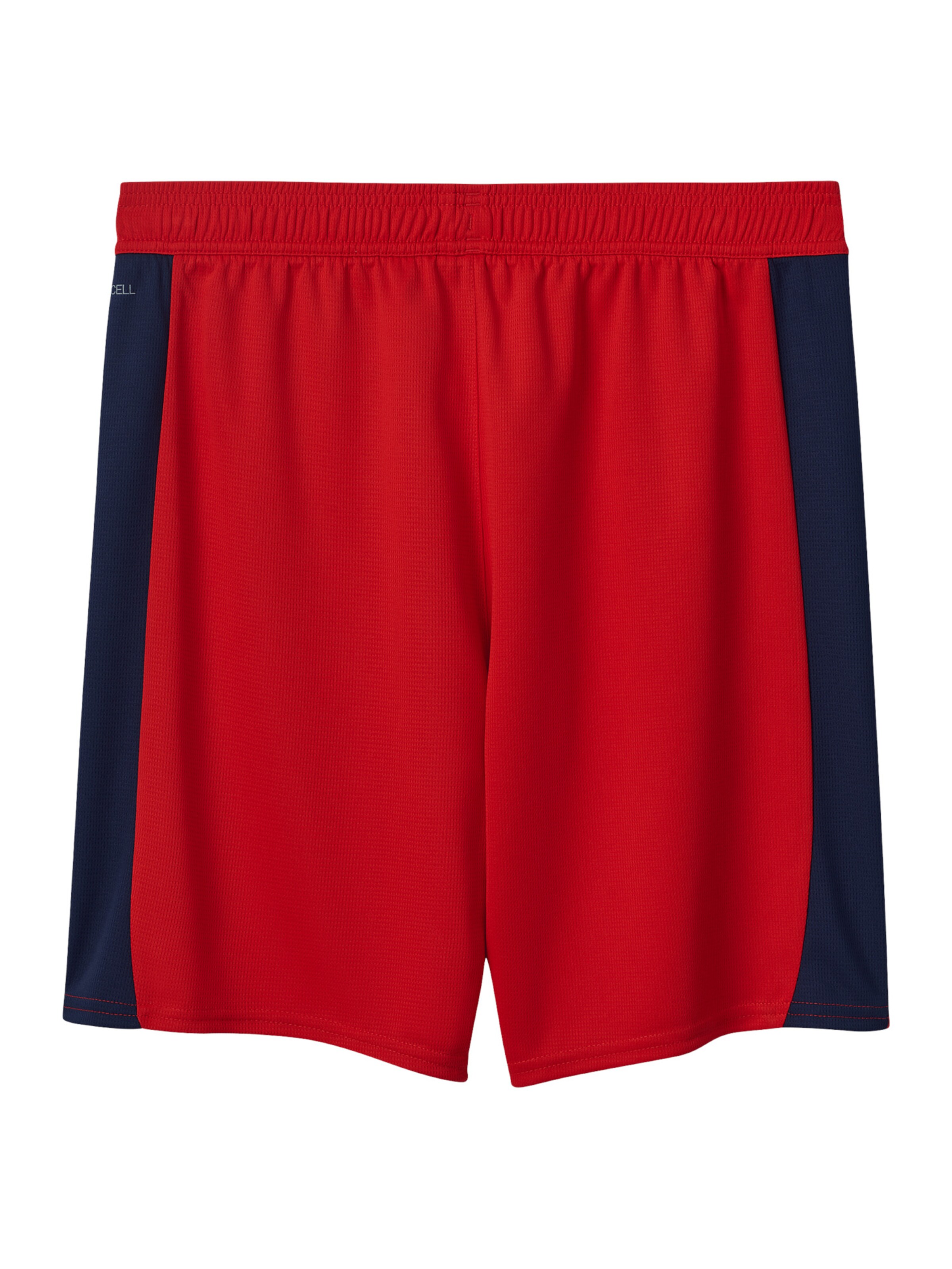 PUMA Regular Sportshorts 'SK Rapid Wien 2025/2026' in Rot