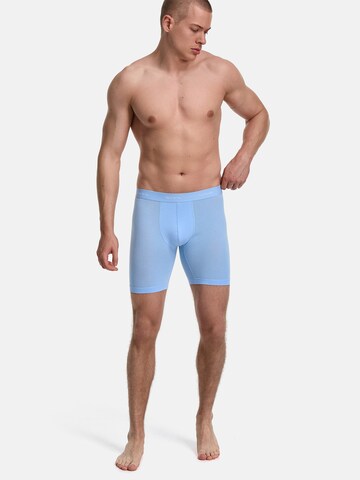 Phil & Co. Berlin - Calzoncillo boxer ' Long Boxer Briefs ' en azul: frente