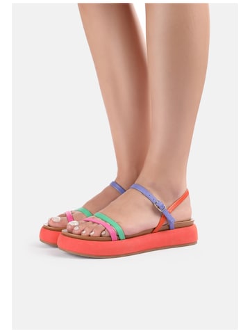 INUOVO Sandals in Mixed colors: front