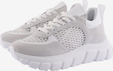 D.MoRo Shoes Sneakers in White: front