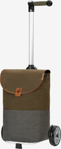 Trolley 'Unus  Priya ' di Andersen Shopper in verde: frontale