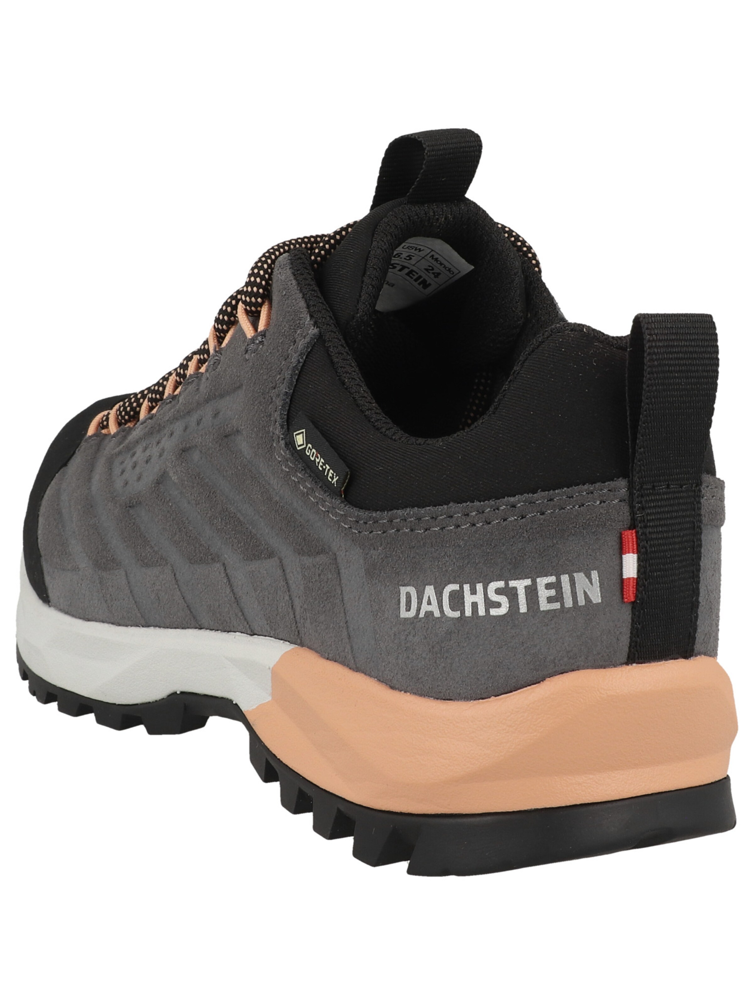 Scarpa bassa 'Sf-21 Gtx' di Dachstein in grigio