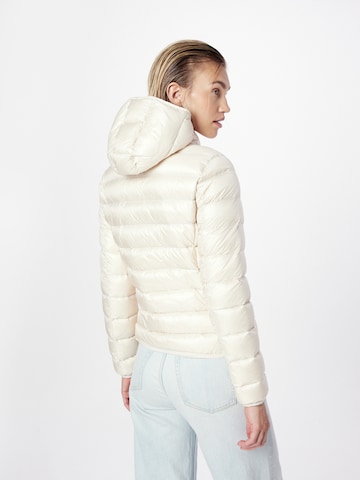 Colmar - Chaqueta de invierno en beige