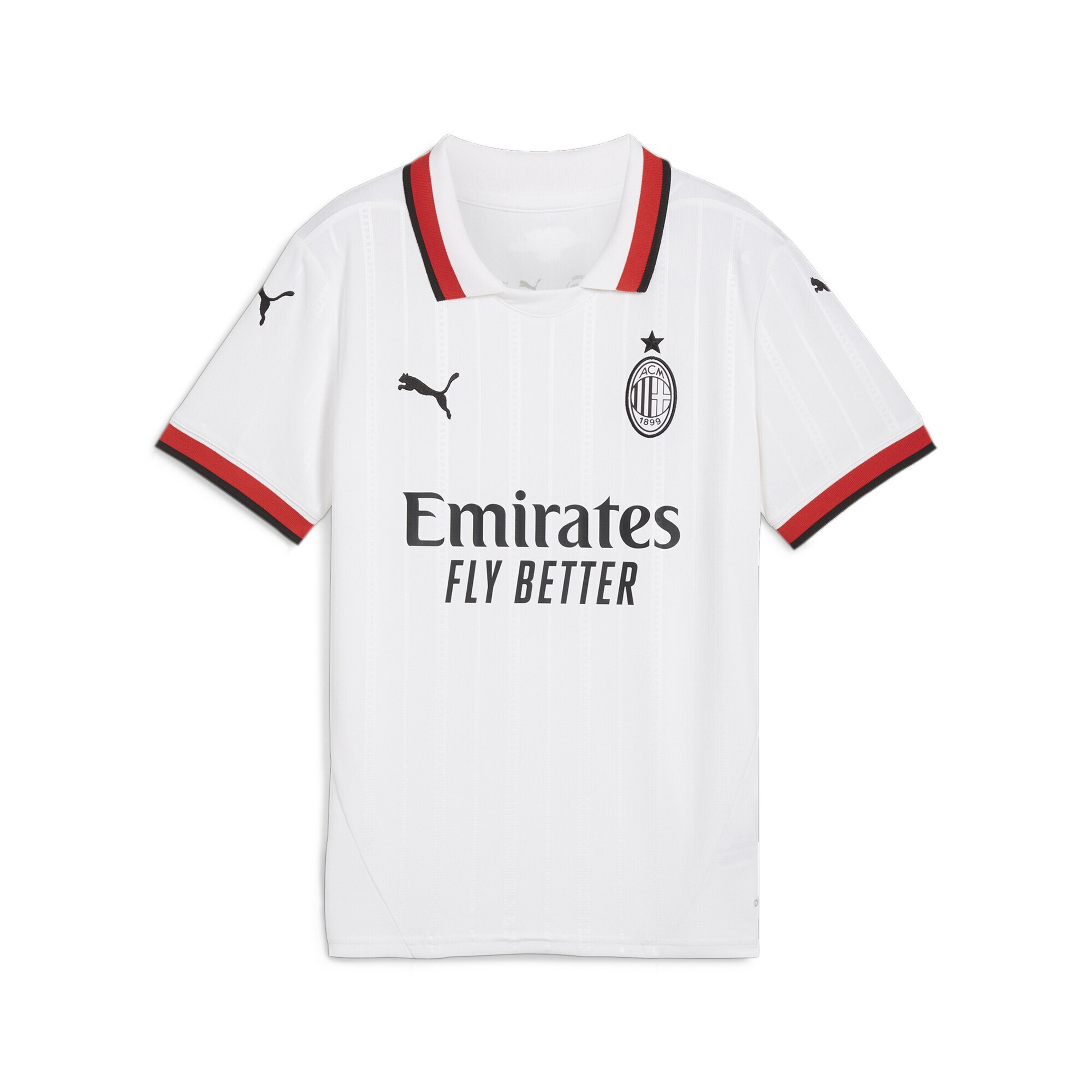 T-Shirt fonctionnel 'AC Milan 24/25' PUMA en blanc : devant