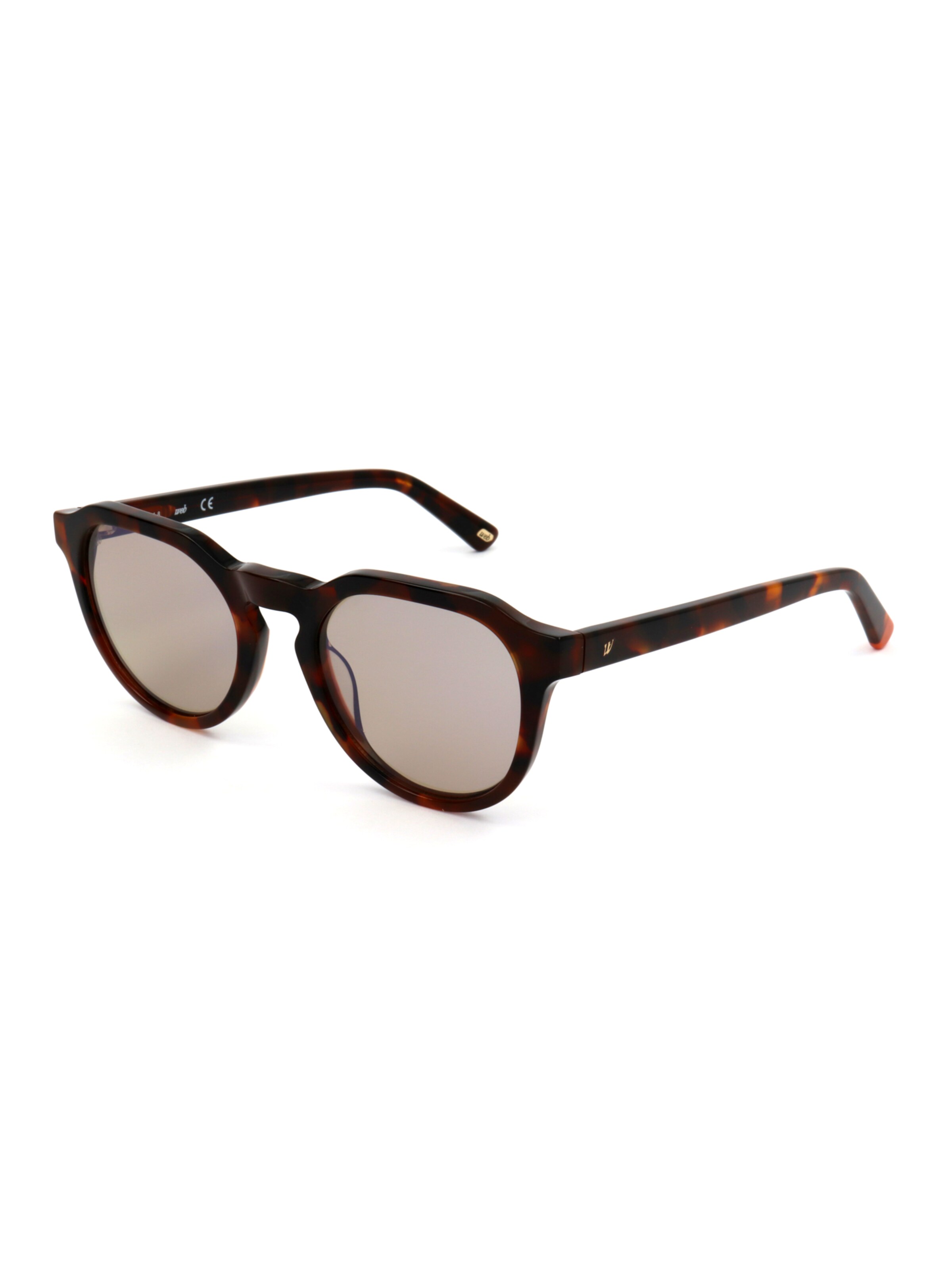 Occhiali da sole 'WE0232' di Web Eyewear in marrone: frontale