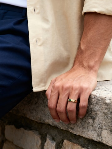 Arkai Ring 'Mediterranean' in Gold