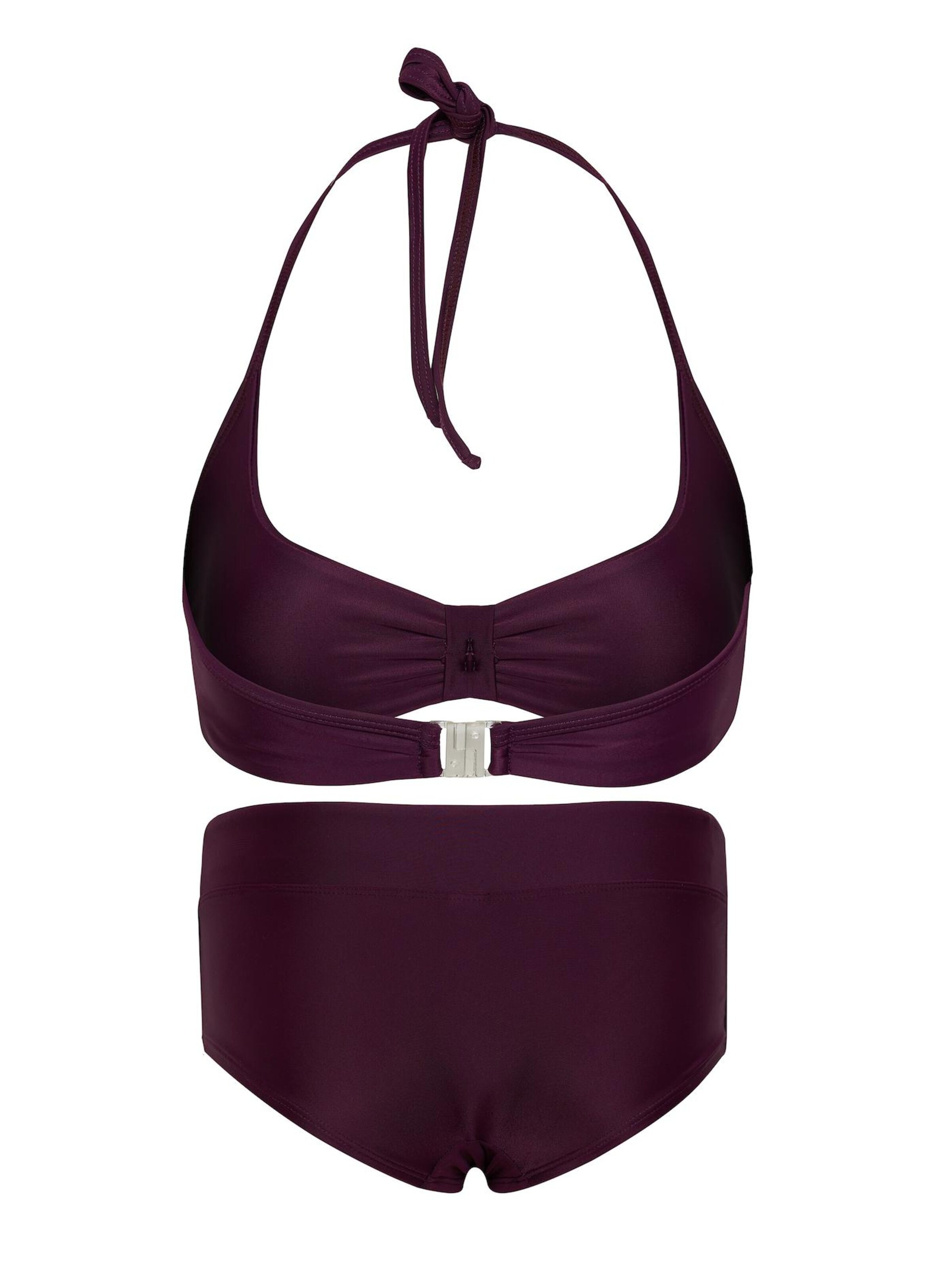 La V Triangle Bikini in Purple