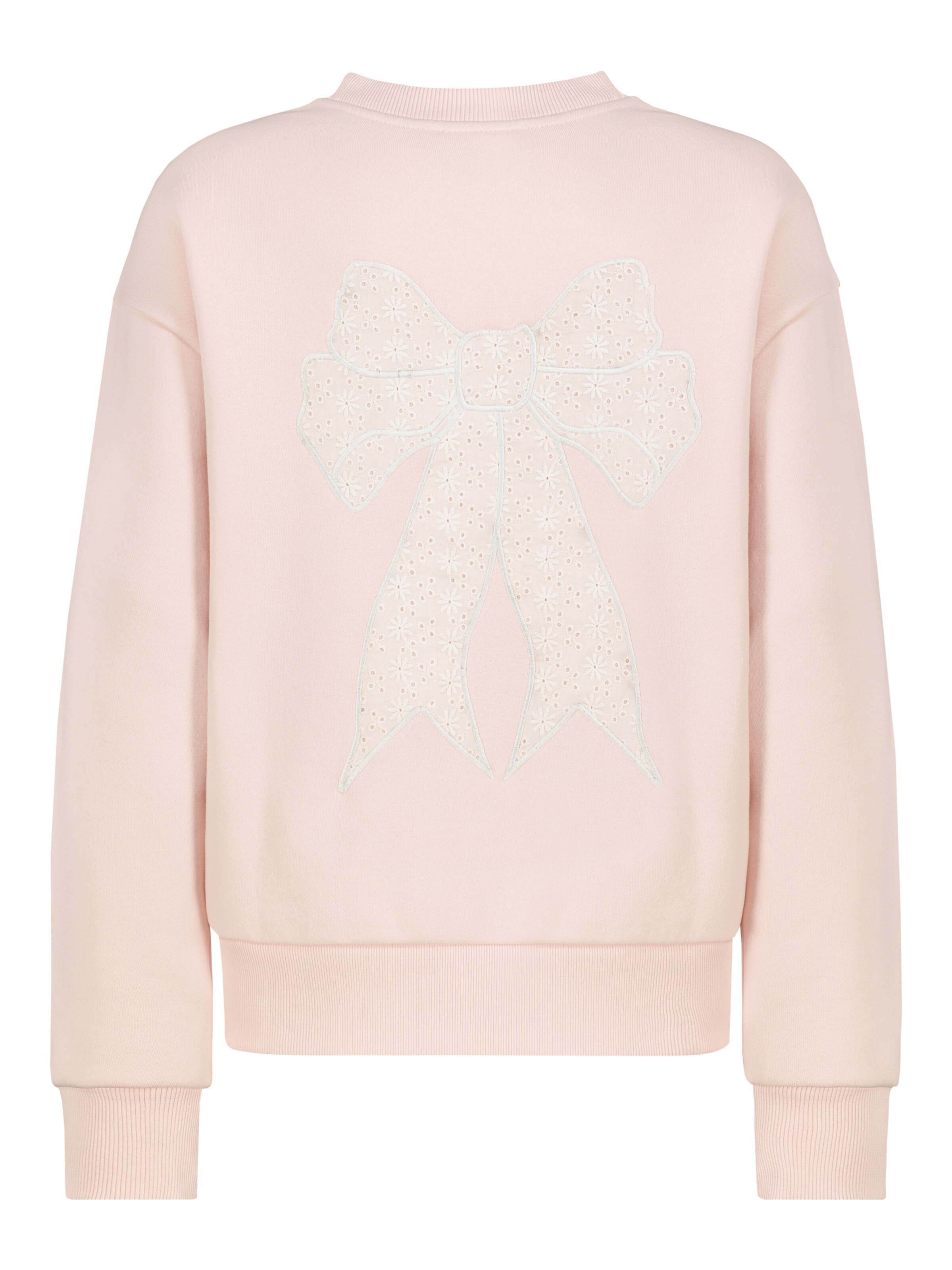 Sublevel Sweatshirt in Pink
