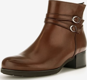 GABOR Ankle Boots in Brown: front