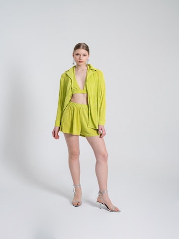 HOLLY LOLLY Blouse in Groen
