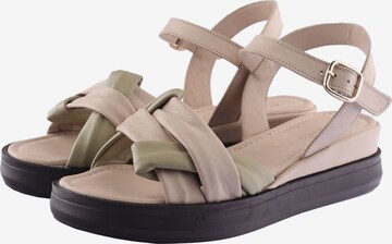 D.MoRo Shoes Sandals 'SIROPILO' in Pink