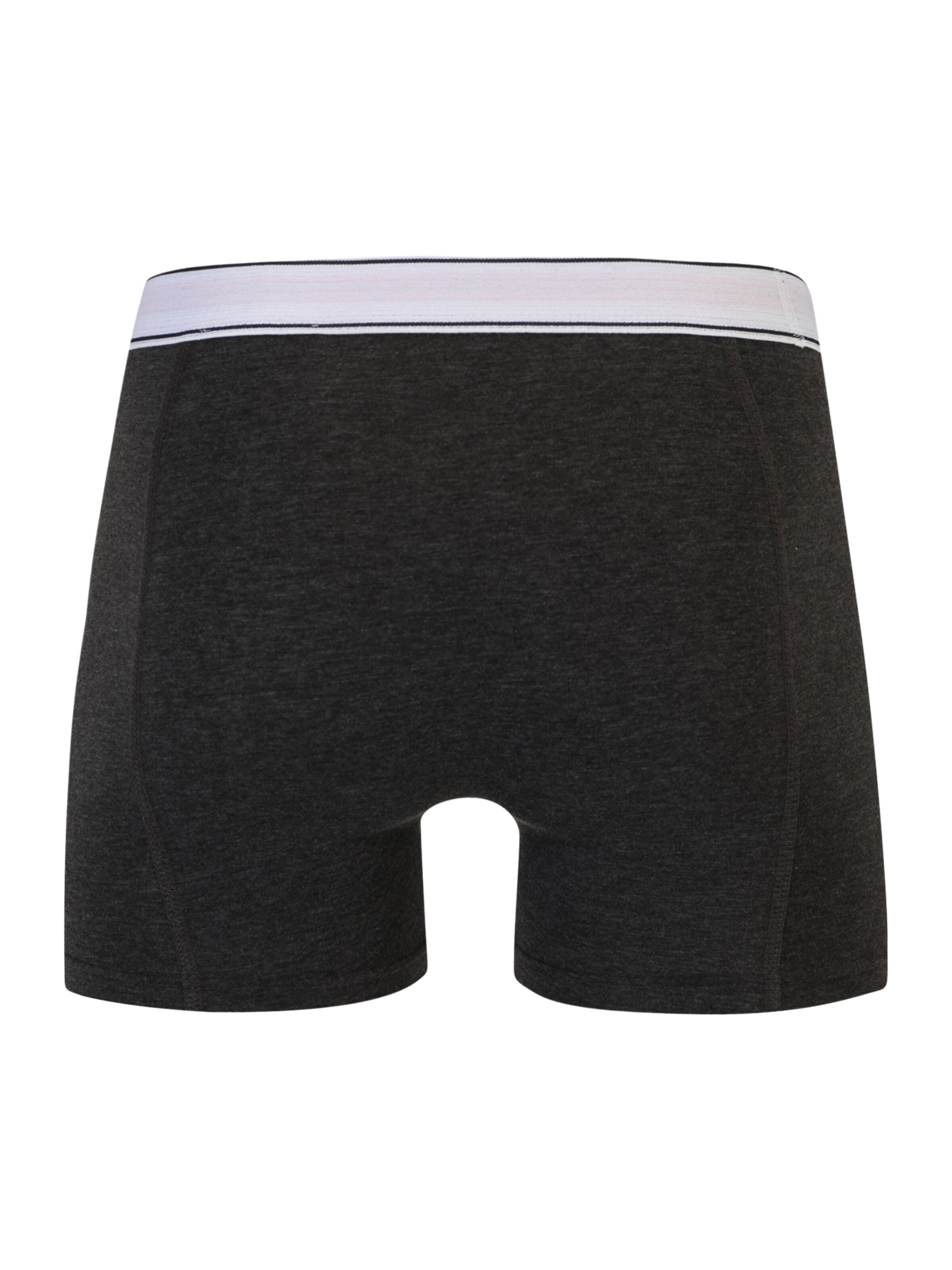 Champion Authentic Athletic Apparel Boxer shorts in Grey