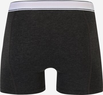 Champion Authentic Athletic Apparel Boxershorts in Grau