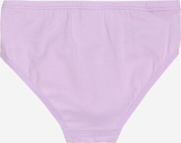 SCHIESSER Underpants in Mixed colors