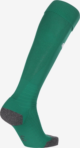 PUMA Soccer Socks 'Team Liga' in Green