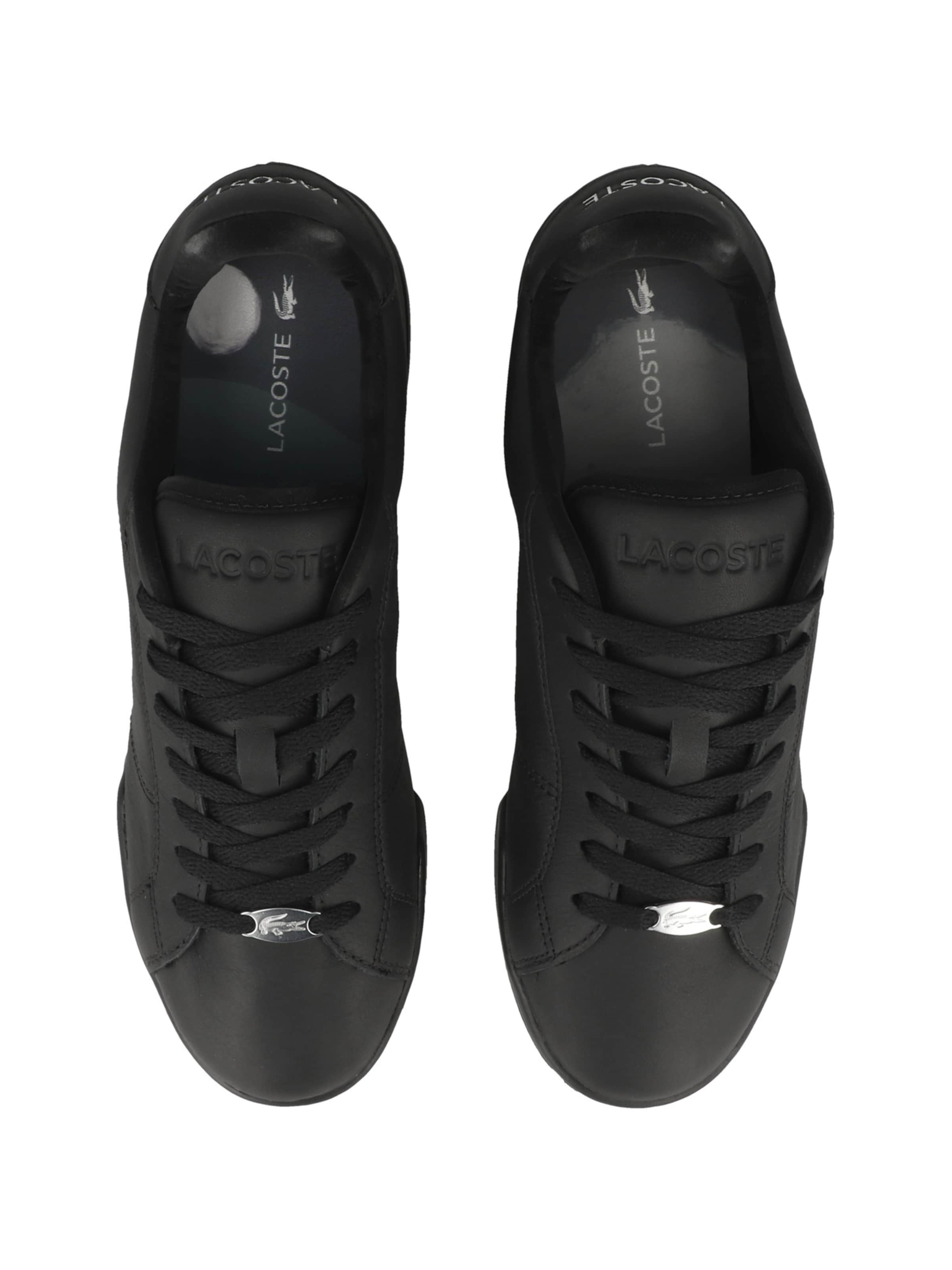 Baskets basses 'Carnaby Cup' LACOSTE en noir