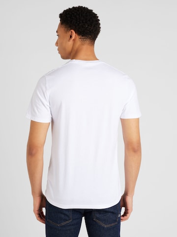 HOLLISTER Bluser & t-shirts i grøn